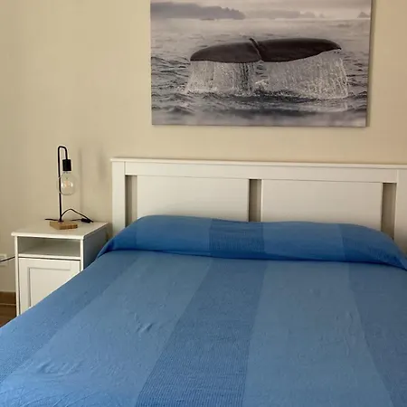 Tiny House Marina